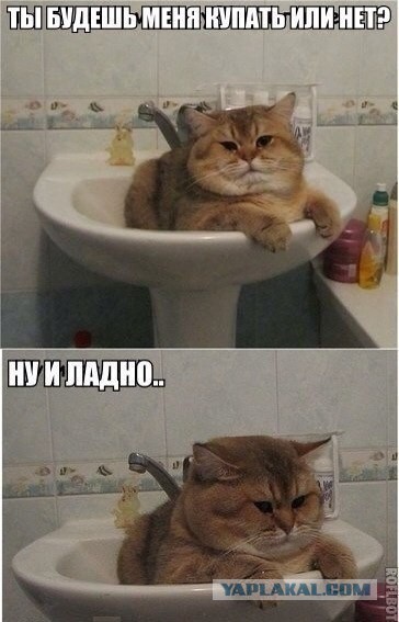 Давай к нам.