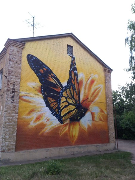 Картинки