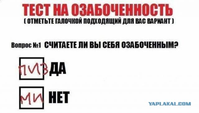Немного смешных картинок из сети