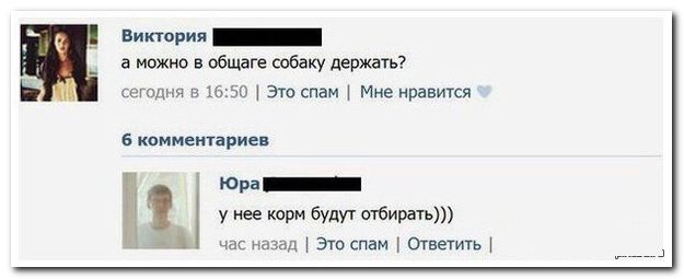 Смешные комментарии из соцсетей, картинки