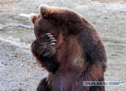 Так кто же отец ребенка?