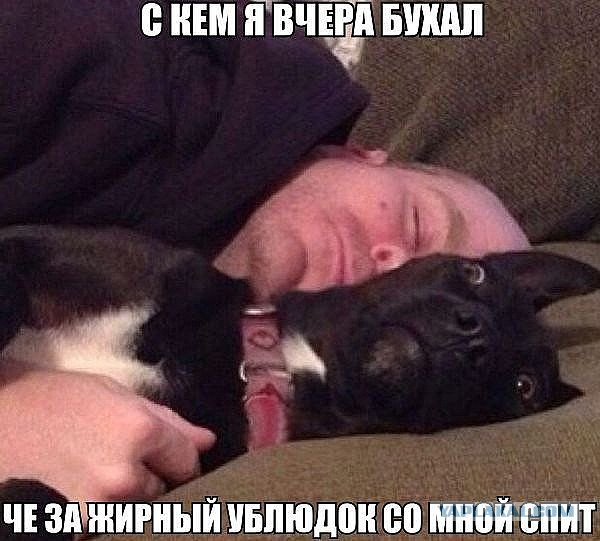 Немного картинок и юмора