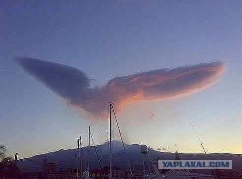 Фотоподборка, никакого фотошопа