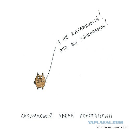 Рисованные животные дурачатся