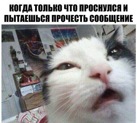 Веселая подборка