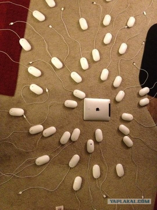 Как рождается iMac