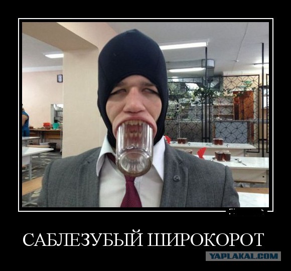 Веселое из сети