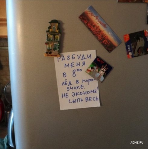 Семейная жизнь в картинках