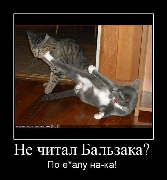 Пятничная подборка