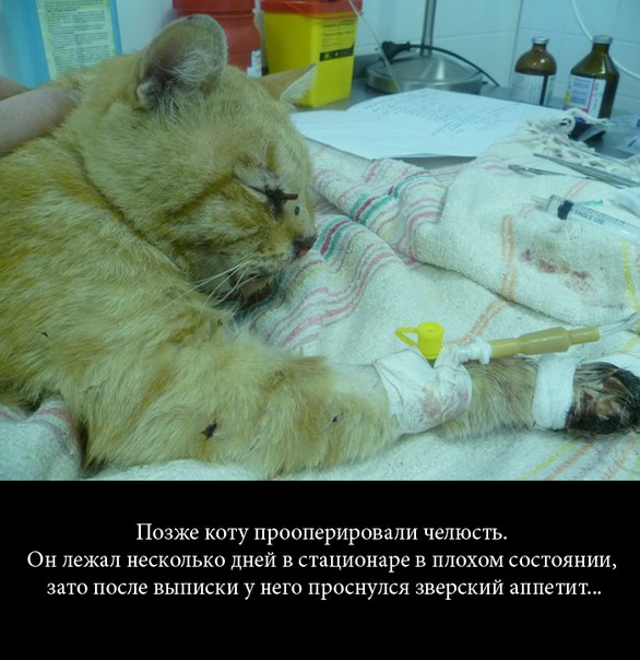 Что может сотворить любовь и забота