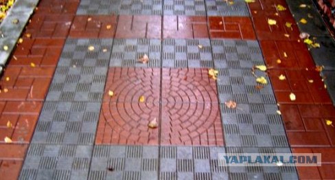 История одного чистого леса под Харьковом