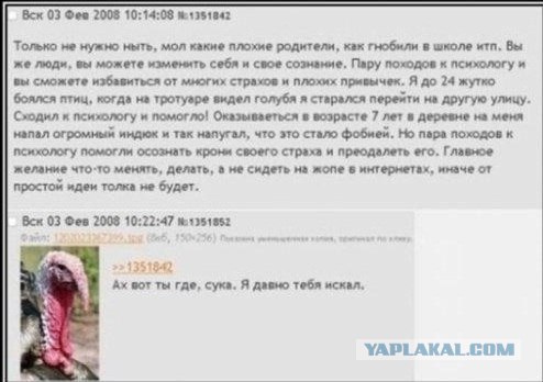 Голуби падонки