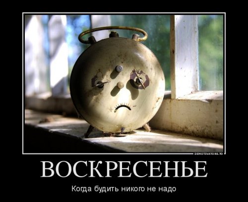 Прикольные картинки и демотиваторы