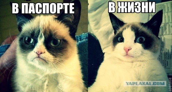 Фотоприколы