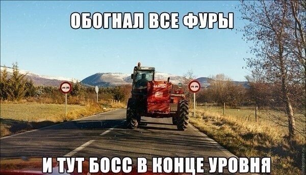 Прикольные картинки