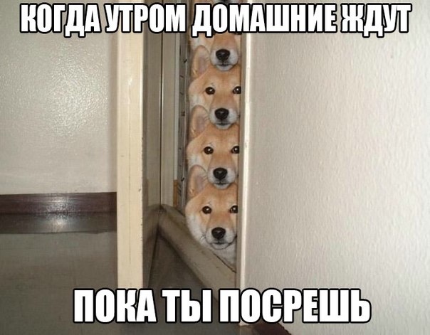 Картинки на пятницу