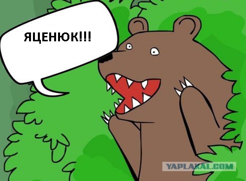 Фото: Яценюка с розами унесли со сцены
