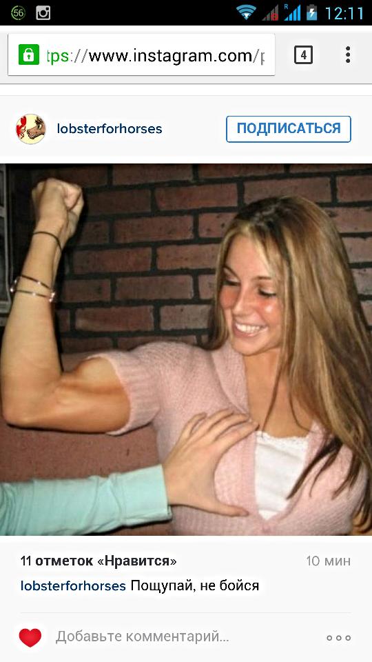 дай потрогать мору мем. цианид и счастье ламбада. спорт юмор. сижу никого не трогаю а хочется. хочу твою толстовку.