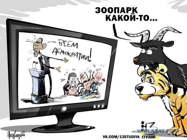 Евросоюз сыт по горло украинской властью.