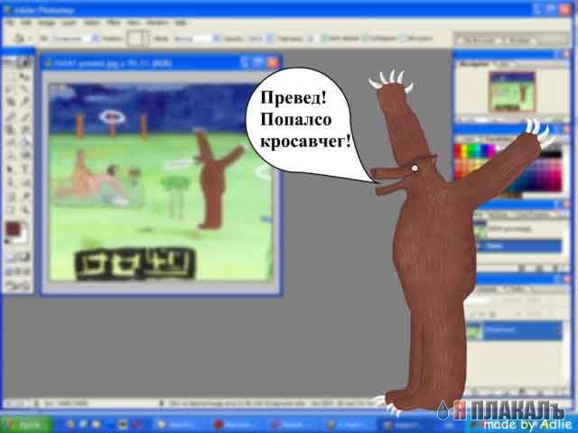 Превед медвед!