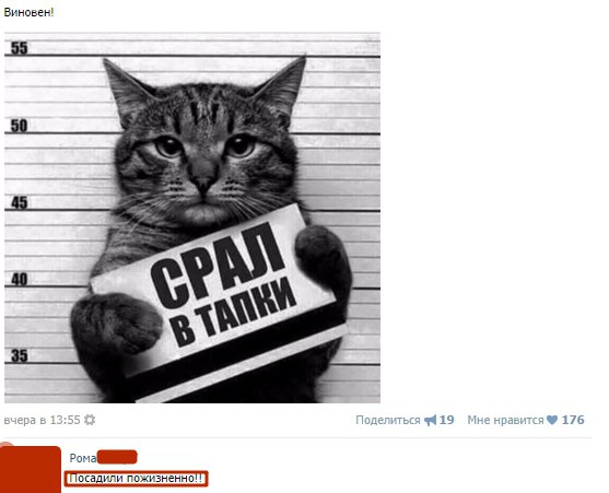 Ужасы и приколы из соцсетей 18+