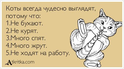 Подборка веселых и забавных картинок с просторов того самого