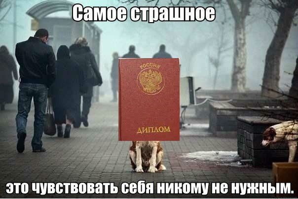 Порция картинок на пятницу
