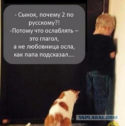 Юмор не для всех