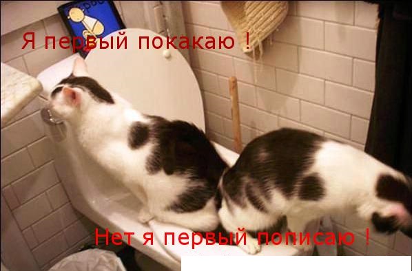 Life уволил сотрудницу за задержку новости об Улюкаеве на 12 минут
