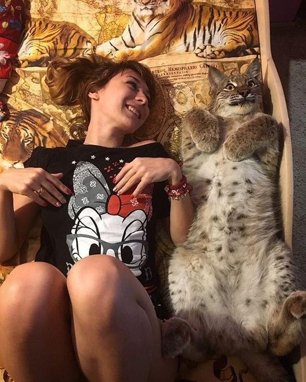 Покажи свою киску?