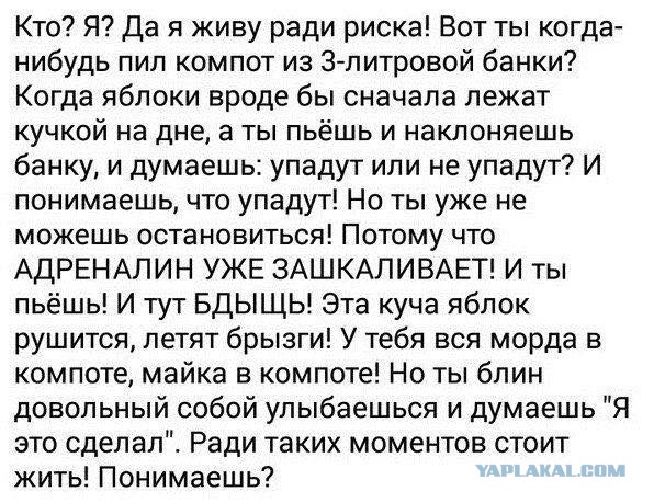Смешные комментарии 12.02.2017