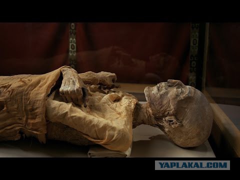 Храбрые живут вечно: в Сербии появился граффити-портрет Гиви
