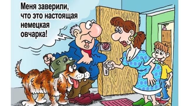 Такое время — страшно за собак
