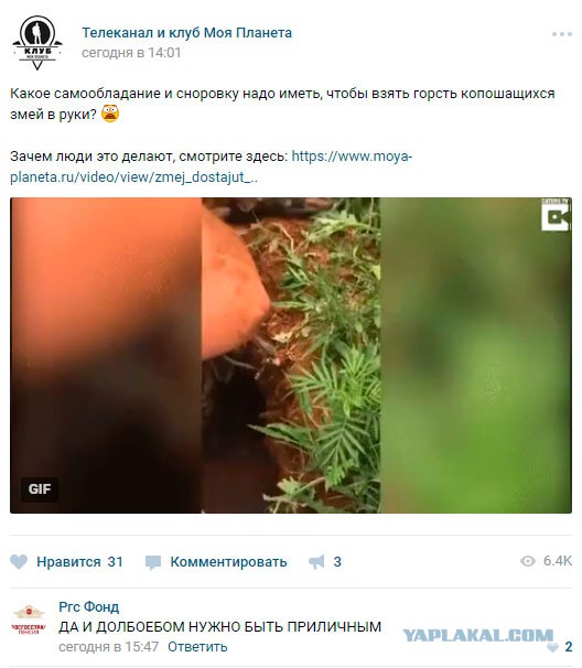 Картинки. Тупые. Очень. 18+ продолжение продолжения.
