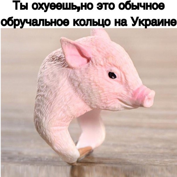 Отдых для ума к предстоящим праздникам