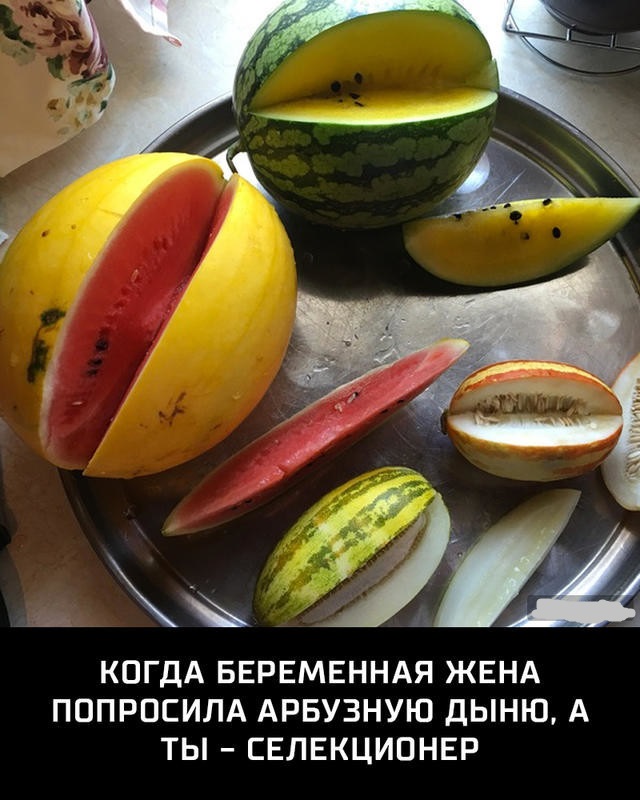 Подборка интересных картинок из сети 26.06.17