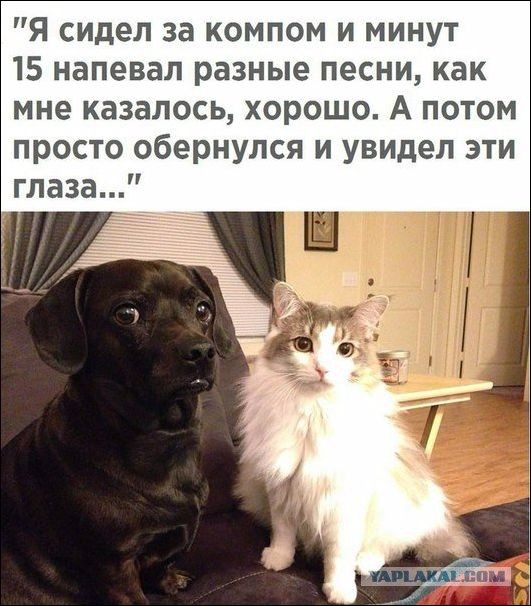 Небольшая подборка бредовых и не очень картинок