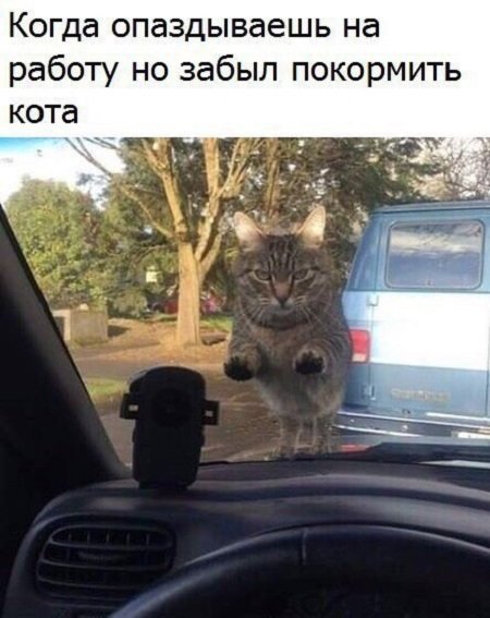 Нестандартный юмор