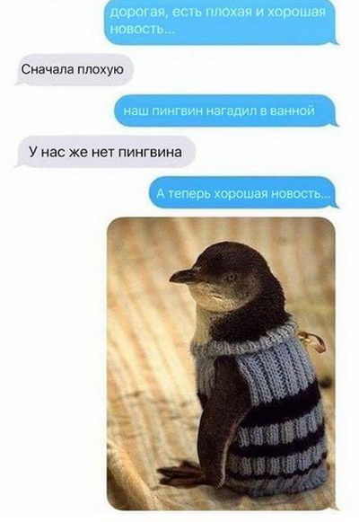 Подборка интересных и веселых картинок