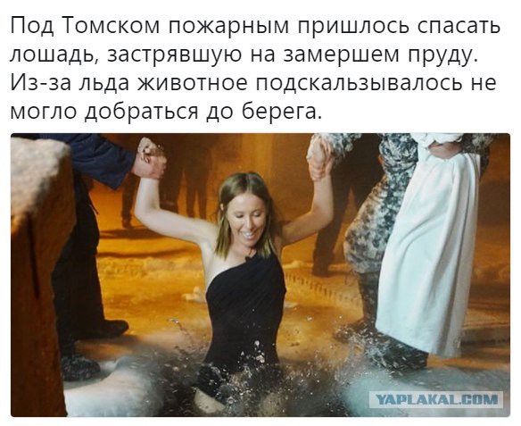 Крещение Господне или - мракобесы снова в деле.