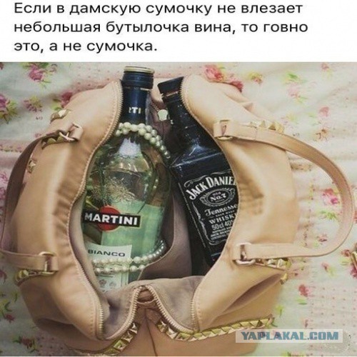 В Москве дебоширка засунула мобильник во влагалище на глазах полицейских