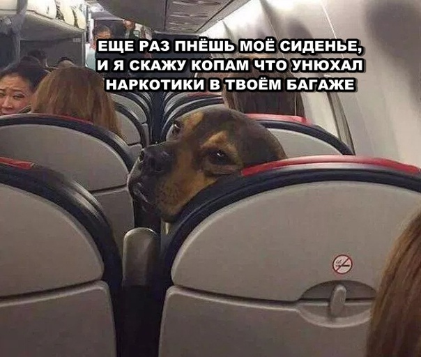 Прикольные картинки.