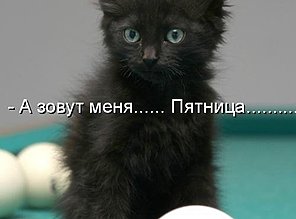 Хоккей сезон 2018-19(КХЛ, НХЛ, Сборная России, хсм и остальное) часть 1