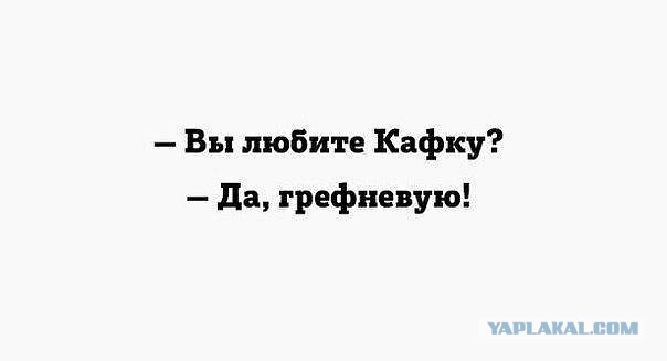 Это вам не Донцова