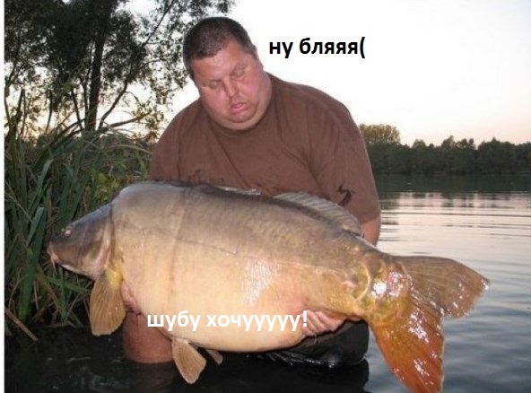 Мечта рыбака
