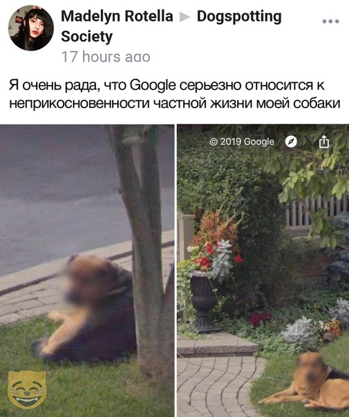 Прикольные комментарии и высказывания из Сети
