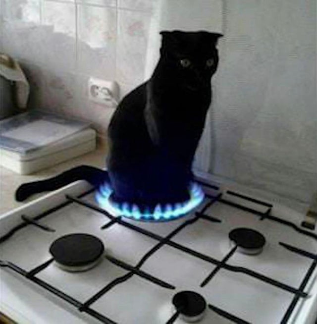 Многокартинок