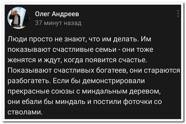 Забавные шутки, картинки и фразы из этих ваших интернетов