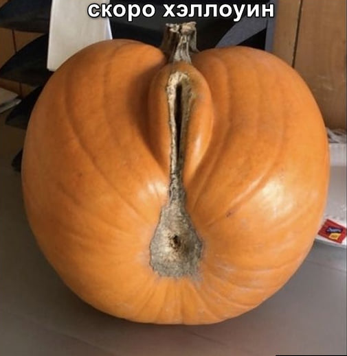 Немного картинок для настроения 24.10.19