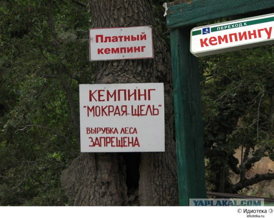 Лето - все на кемпинг!